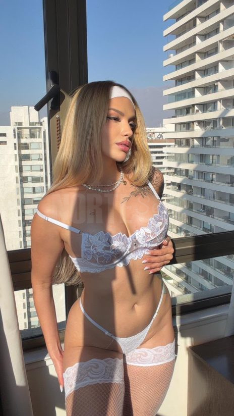  | NORTEsexy Acompanhantes | Acompanhantes Belém, Castanhal, Macapá, Manaus, Marabá, Altamira, Rio Branco...